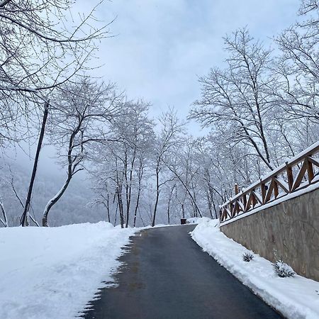 Kuca Za Odmor ,,Balkan” Crni Vrh Exterior foto