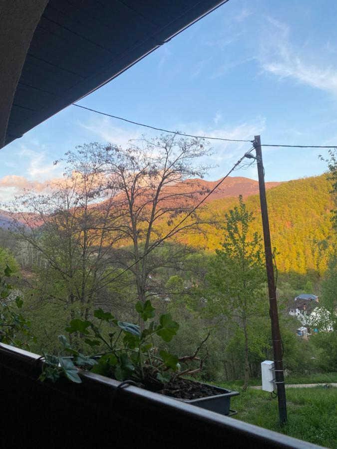 Kuca Za Odmor ,,Balkan” Crni Vrh Exterior foto