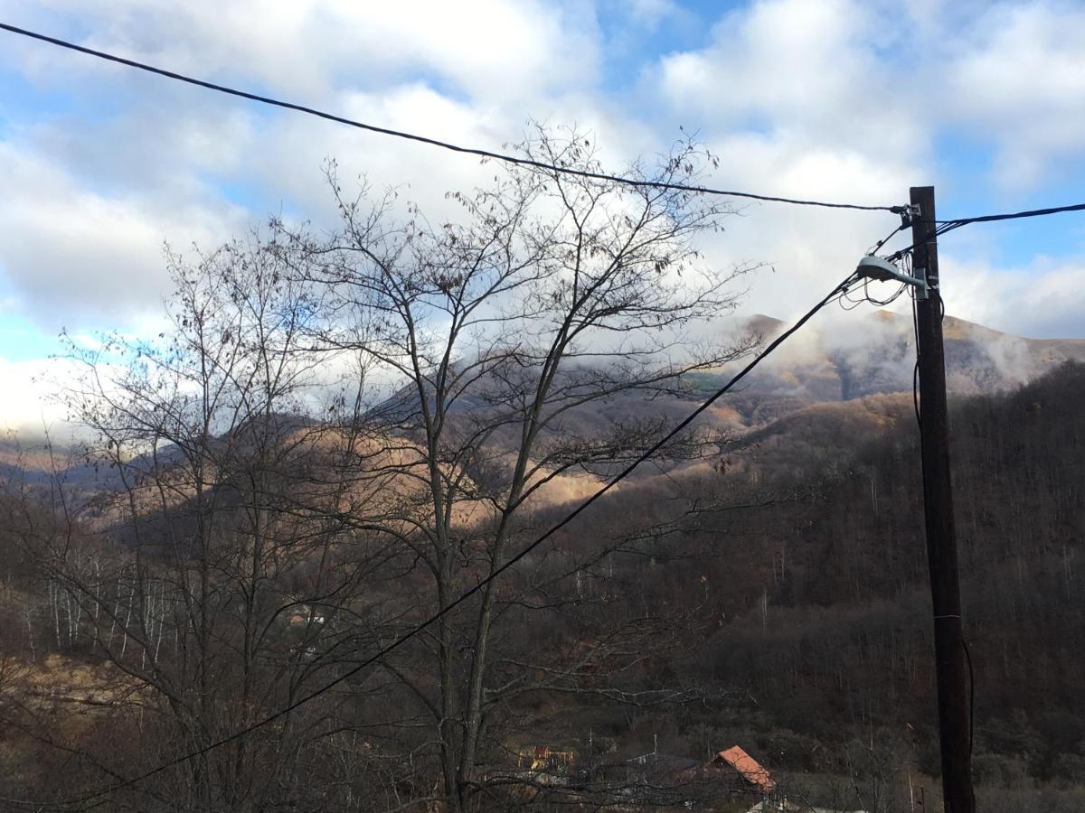 Kuca Za Odmor ,,Balkan” Crni Vrh Exterior foto